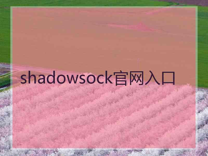 shadowsock官网入口