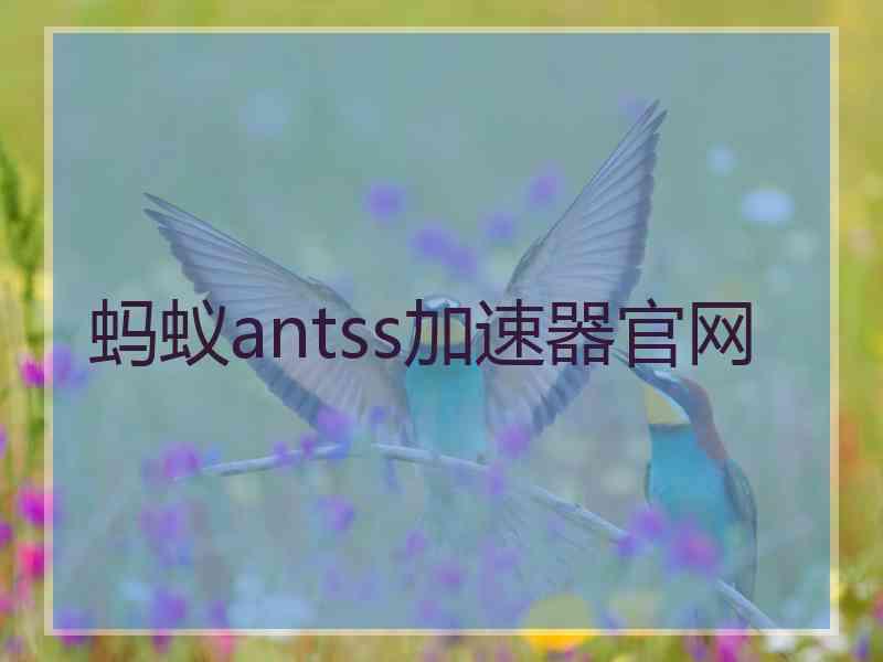 蚂蚁antss加速器官网