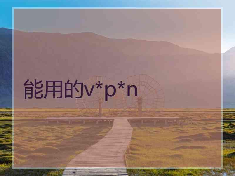 能用的v*p*n