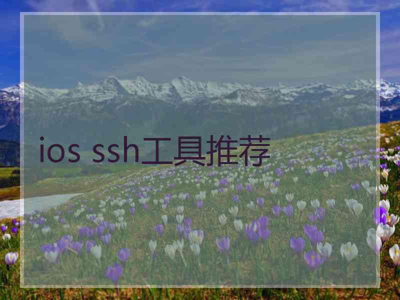 ios ssh工具推荐
