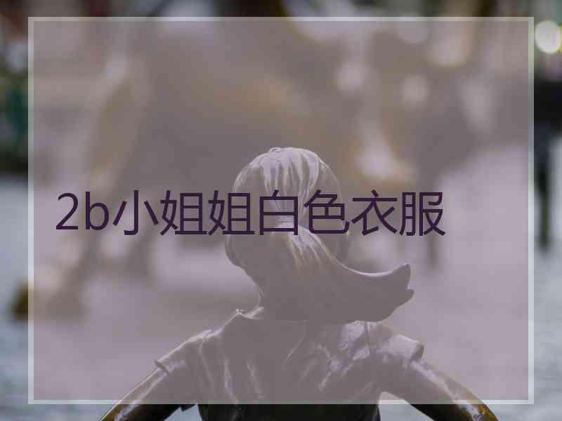 2b小姐姐白色衣服