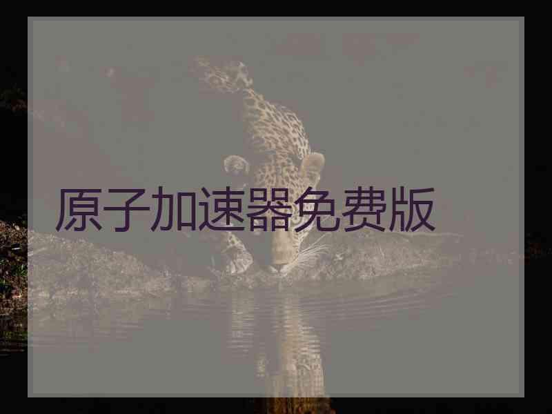 原子加速器免费版