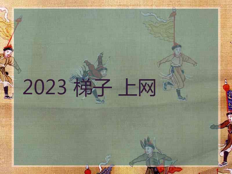 2023 梯子 上网