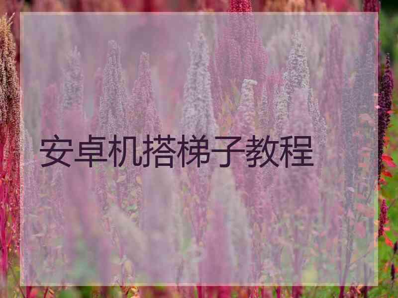 安卓机搭梯子教程