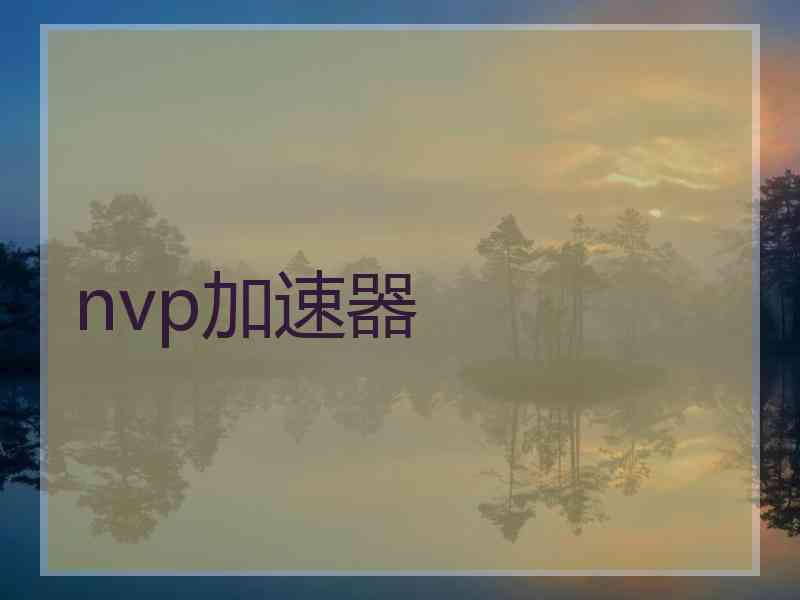 nvp加速器