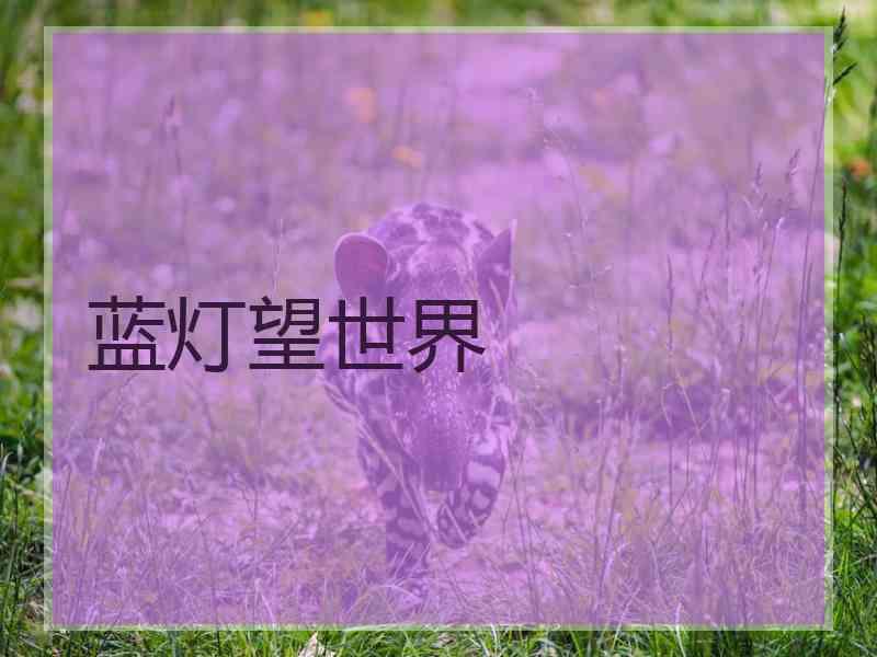 蓝灯望世界