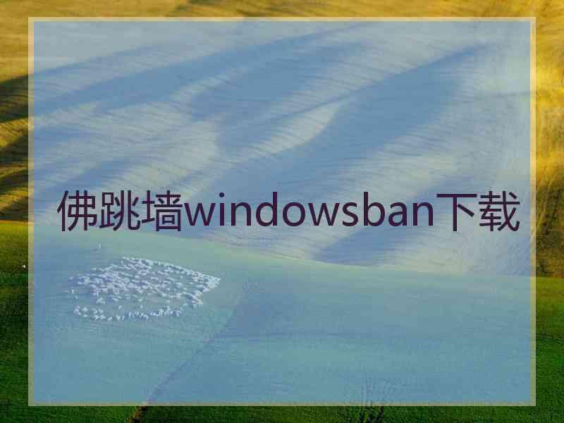 佛跳墙windowsban下载
