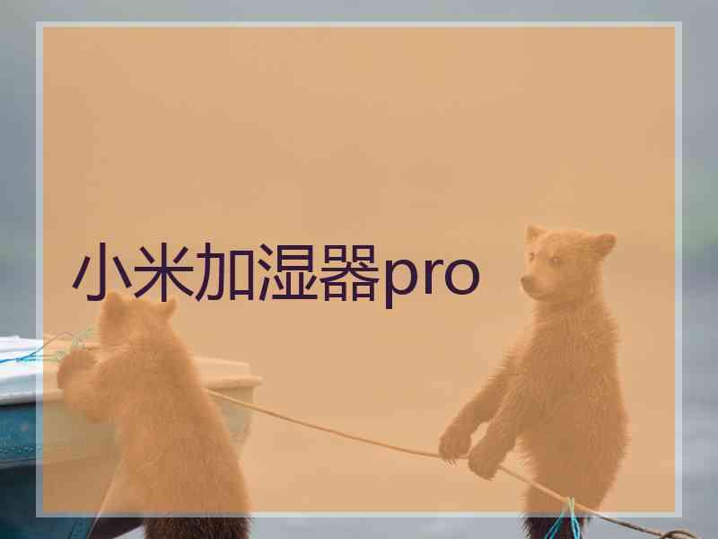 小米加湿器pro