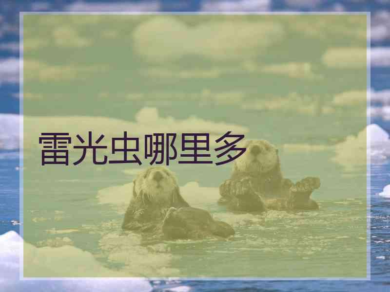 雷光虫哪里多