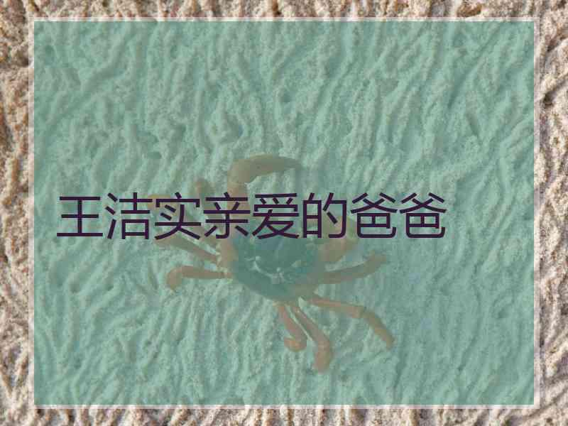 王洁实亲爱的爸爸