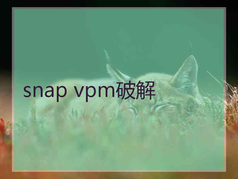 snap vpm破解
