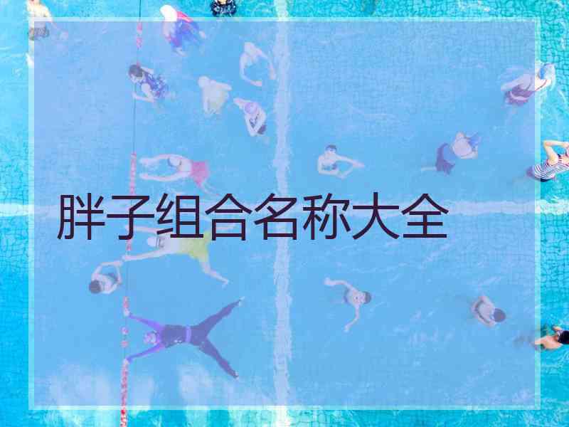 胖子组合名称大全