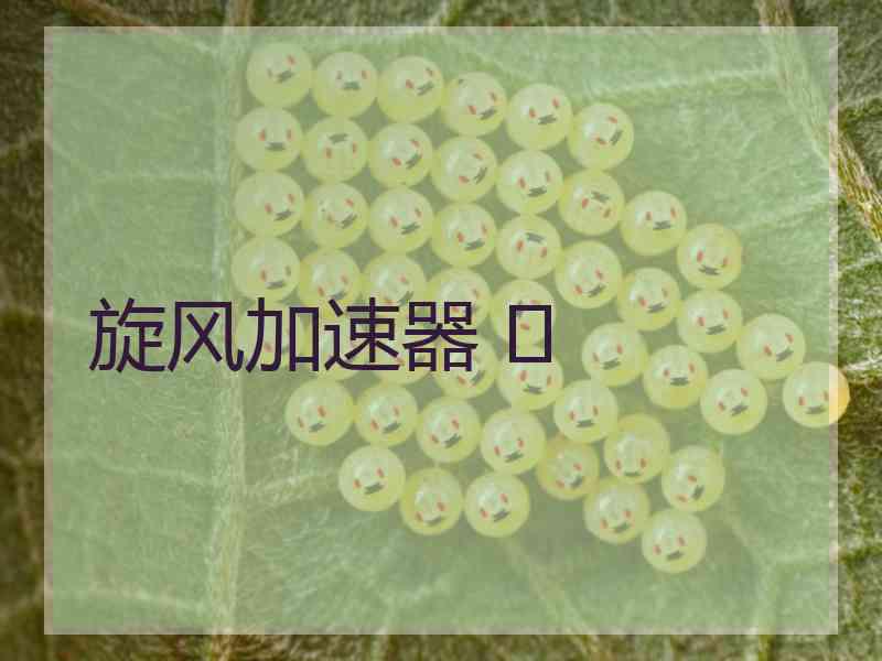 旋风加速器 	