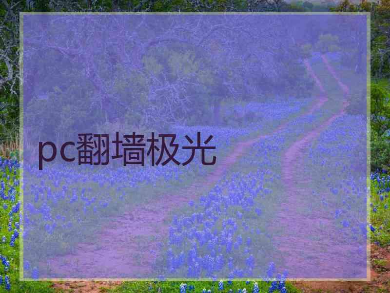 pc翻墙极光