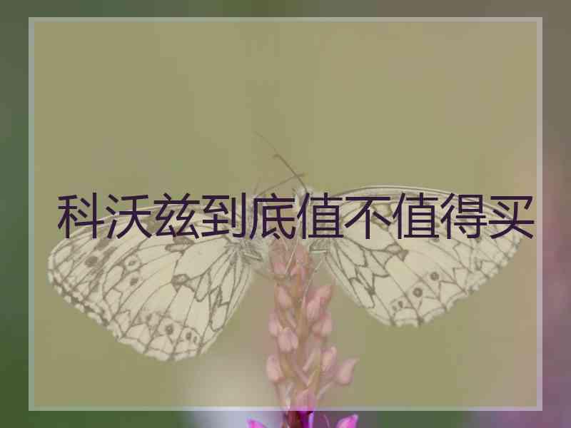 科沃兹到底值不值得买