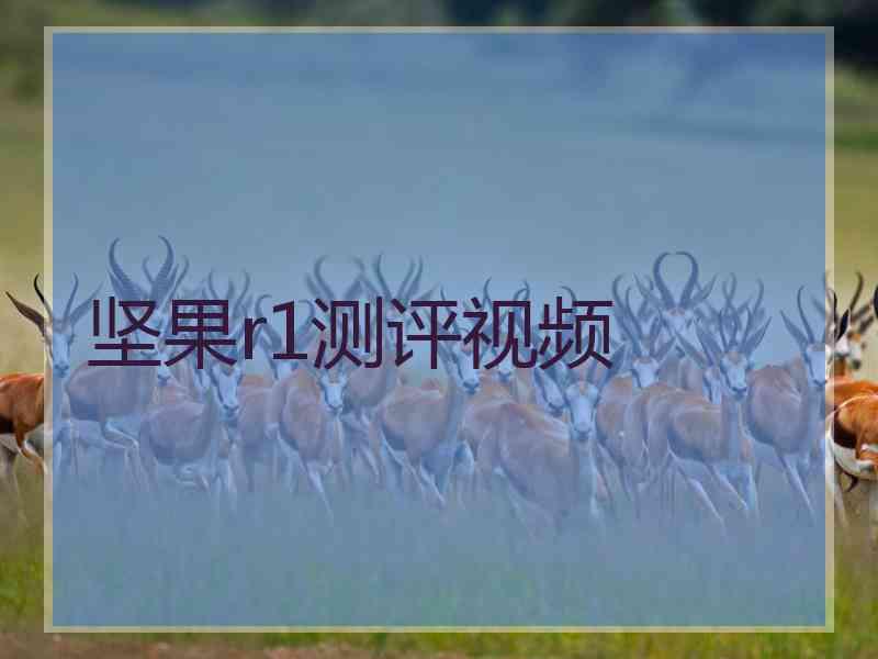 坚果r1测评视频