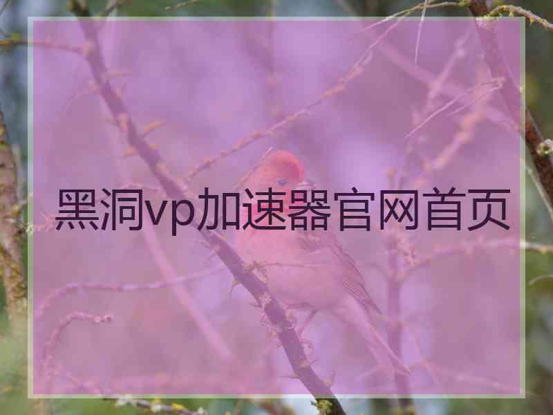 黑洞vp加速器官网首页