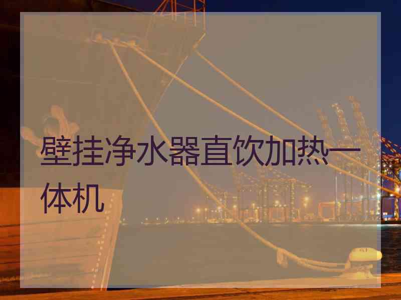 壁挂净水器直饮加热一体机