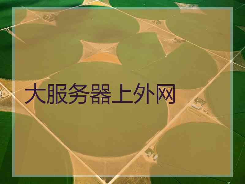 大服务器上外网