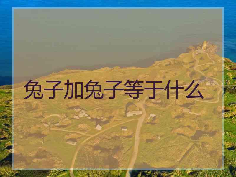 兔子加兔子等于什么