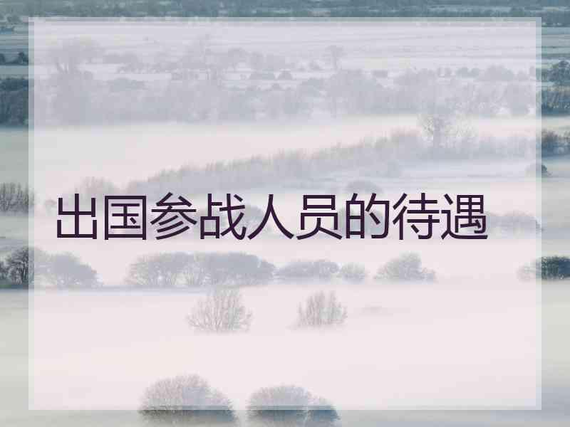 出国参战人员的待遇