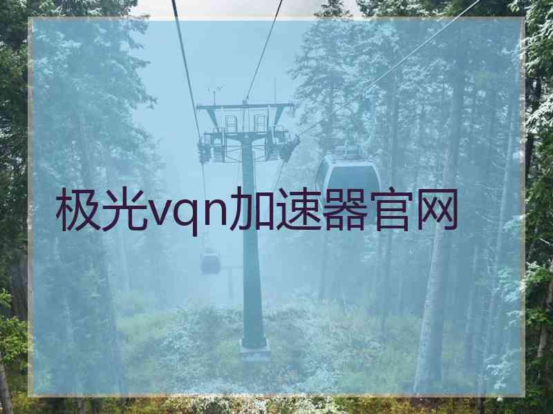 极光vqn加速器官网