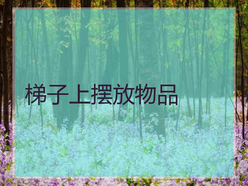 梯子上摆放物品