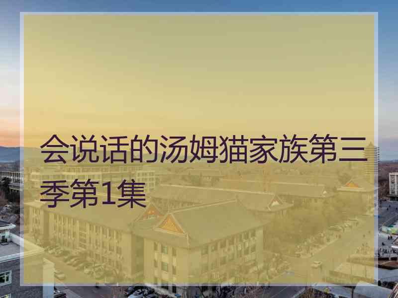 会说话的汤姆猫家族第三季第1集