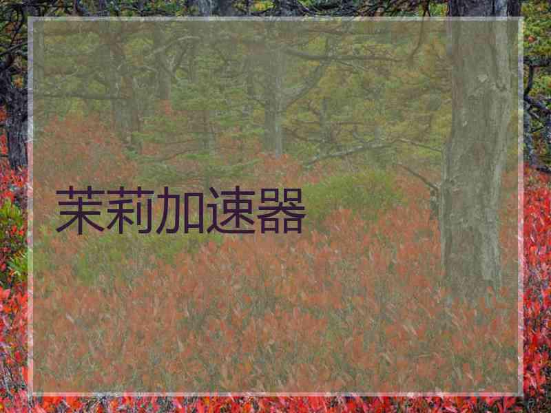 茉莉加速器