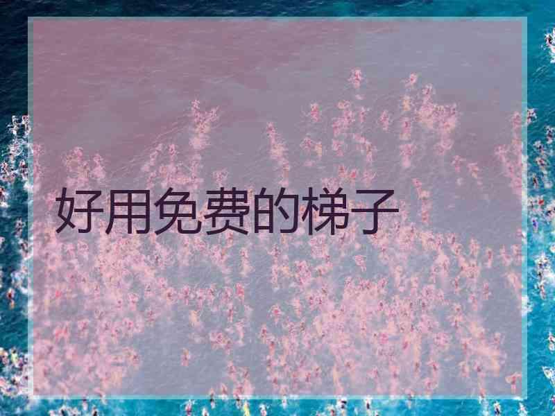 好用免费的梯子
