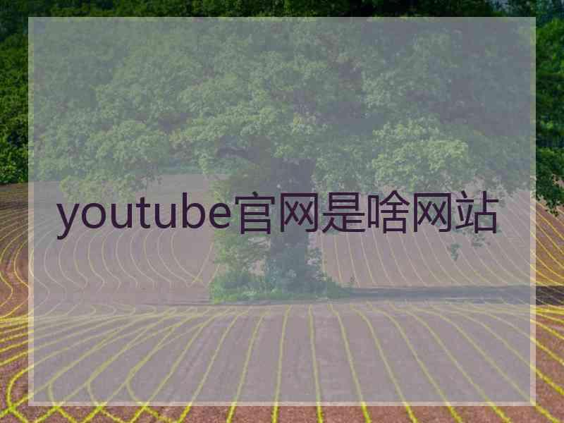 youtube官网是啥网站