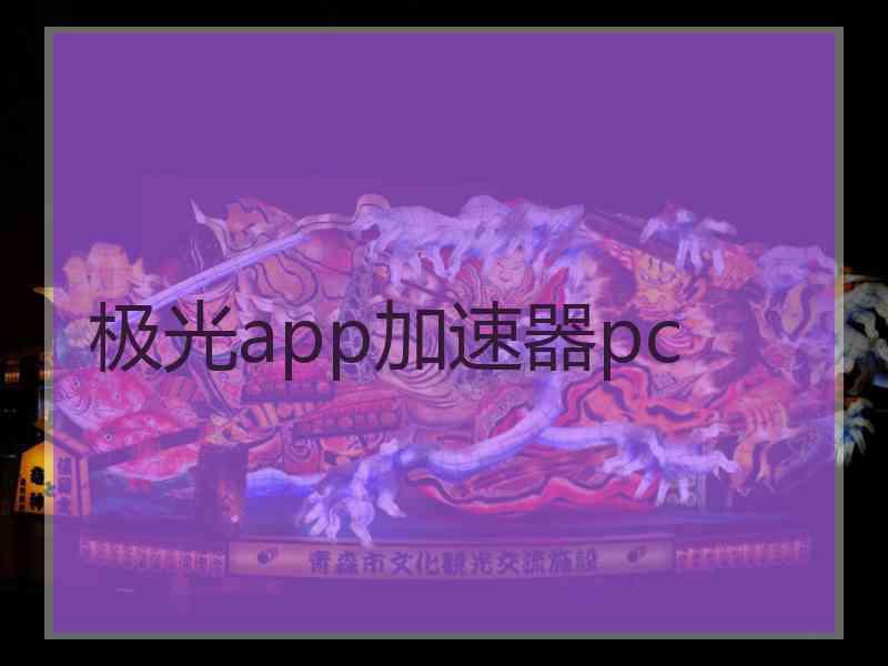极光app加速器pc