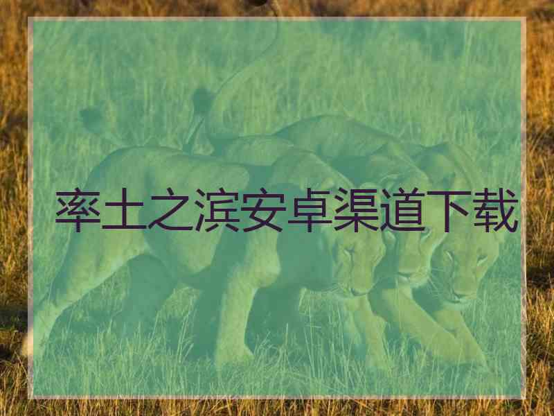 率土之滨安卓渠道下载