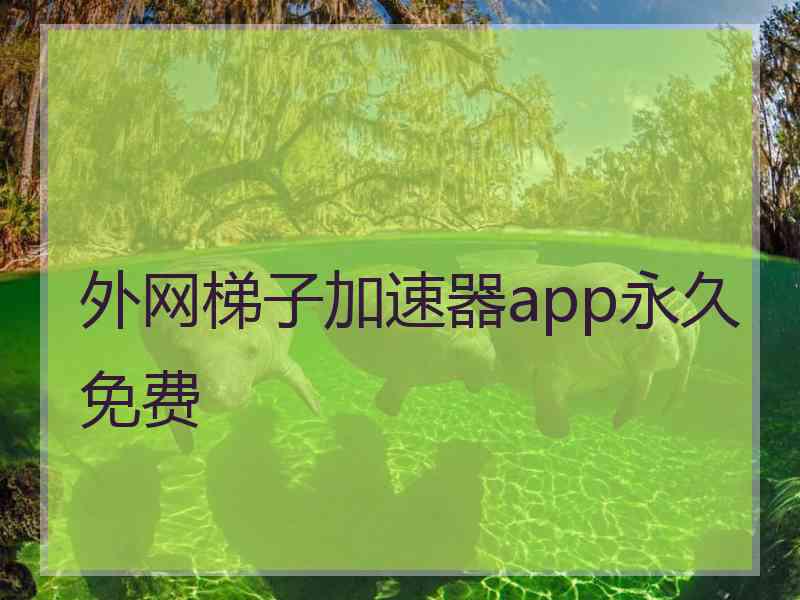 外网梯子加速器app永久免费
