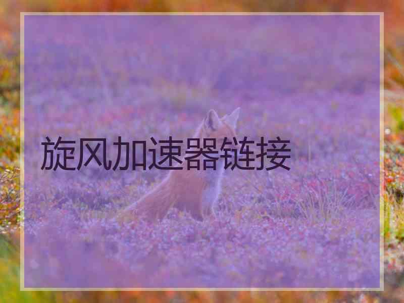 旋风加速器链接