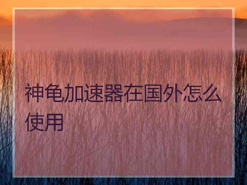 神龟加速器在国外怎么使用