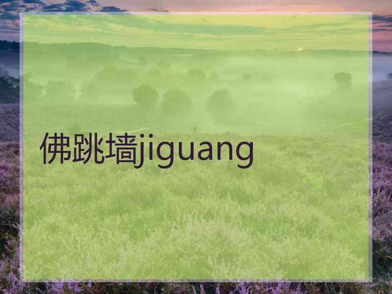 佛跳墙jiguang