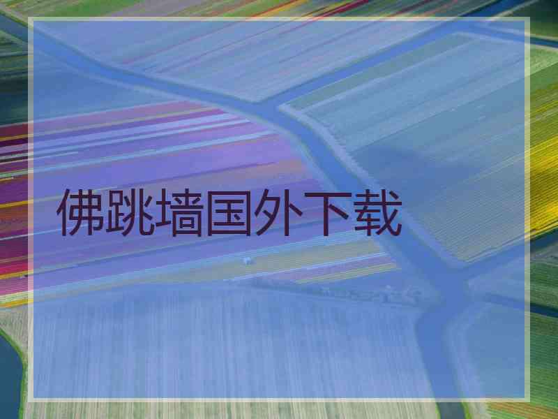 佛跳墙国外下载