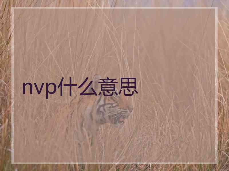 nvp什么意思