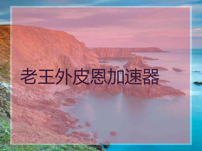 老王外皮恩加速器