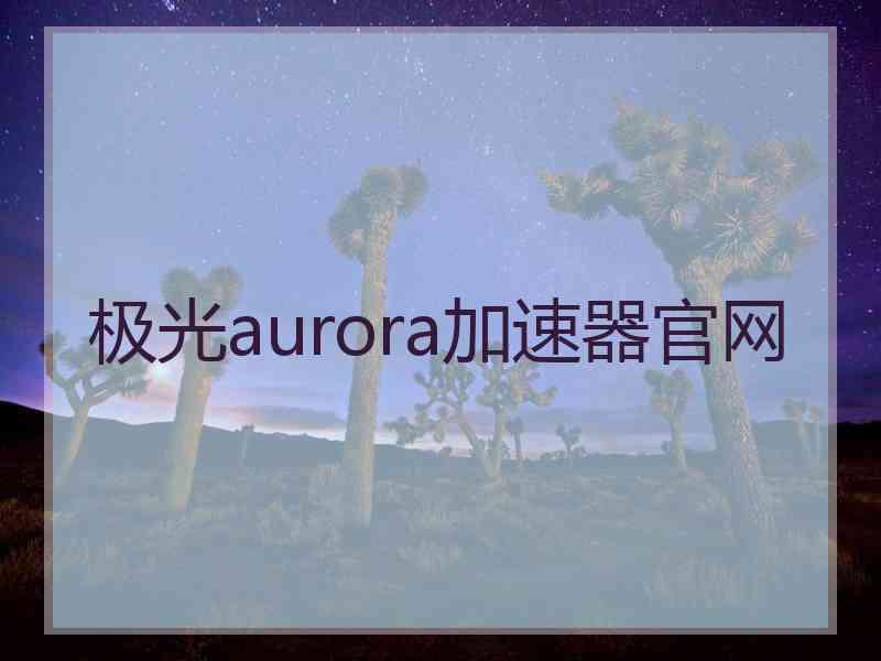 极光aurora加速器官网
