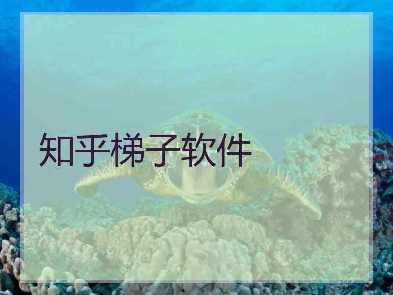 知乎梯子软件