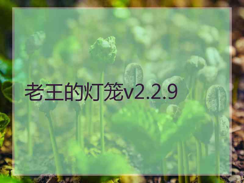 老王的灯笼v2.2.9