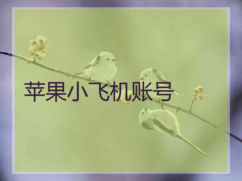 苹果小飞机账号