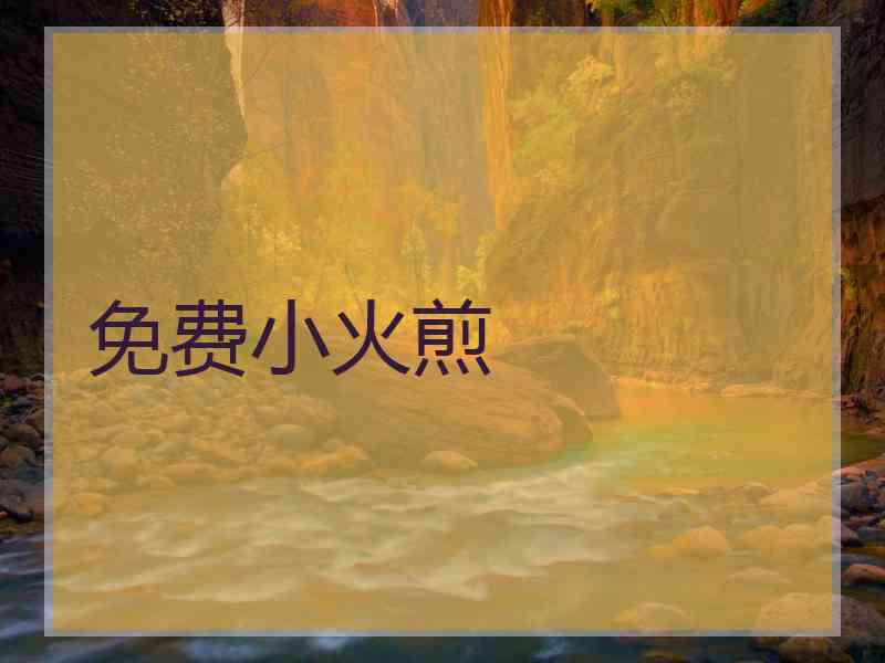 免费小火煎