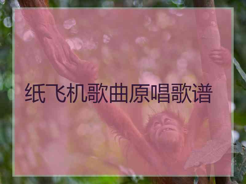 纸飞机歌曲原唱歌谱