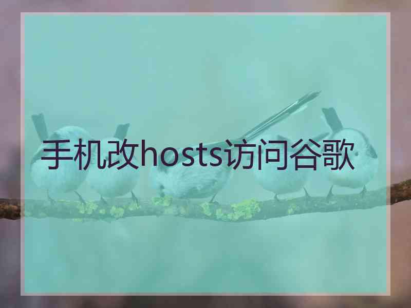 手机改hosts访问谷歌