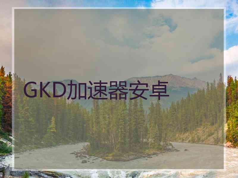 GKD加速器安卓