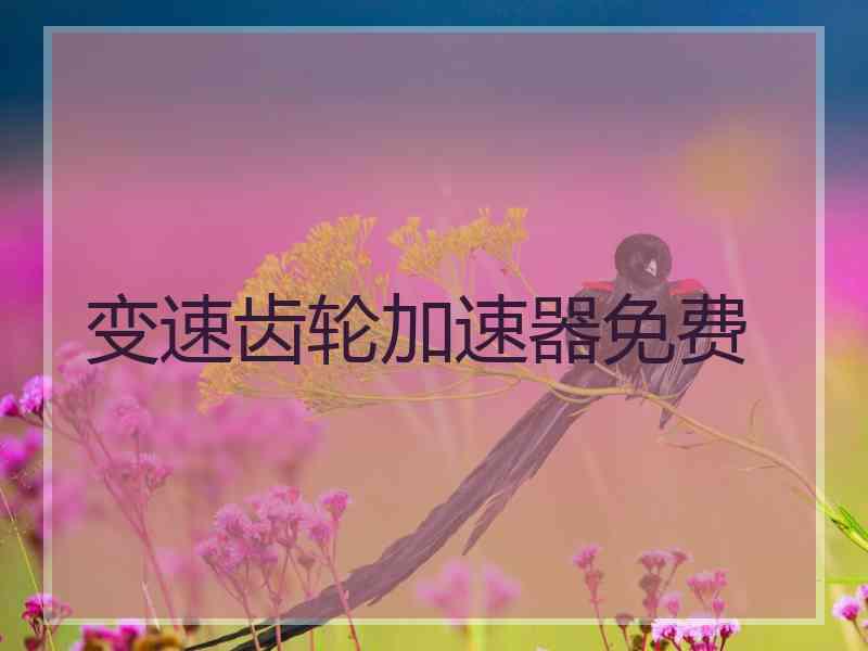 变速齿轮加速器免费