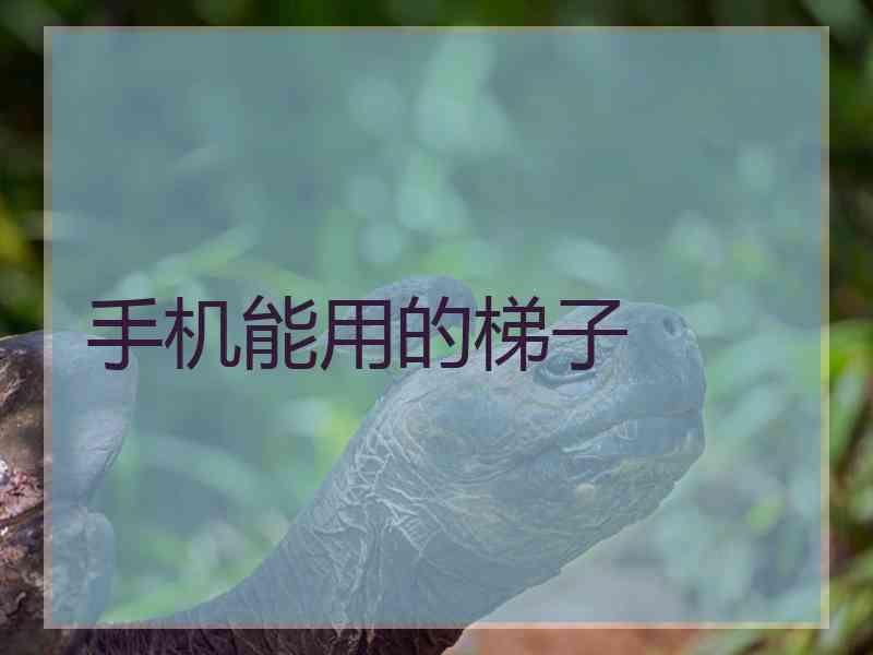 手机能用的梯子